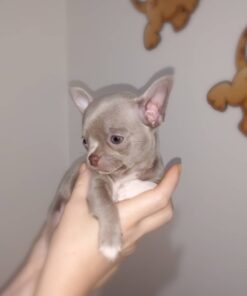 Kiala